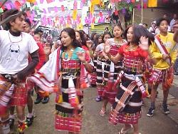 Dineng Chapalam (a traditional dance form) being performed during the festival.