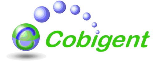 Cobigent Technologies & Solutions - Bangalore 