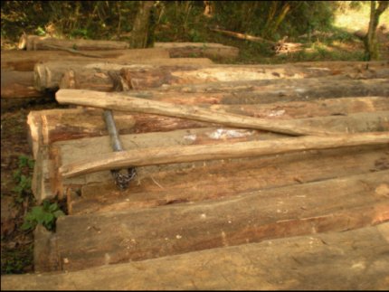Illegal timber yard with a buffalo sled used to haul them from the mountains at Koubru Leikha