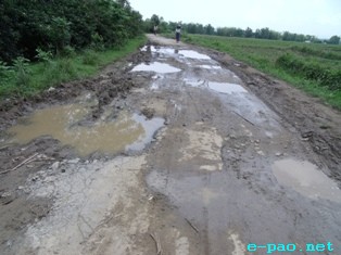 Ghost of bad road condition haunts CCPur pineapple farmers