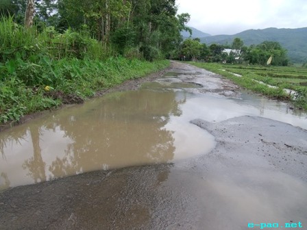 Ghost of bad road condition haunts CCPur pineapple farmers
