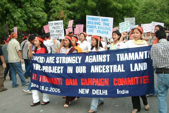 Anti-Tamanthi Dam Protest, New Delhi