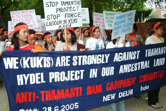Anti-Tamanthi Dam Protest, New Delhi