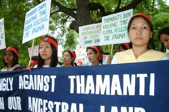 Anti-Tamanthi Dam Protest, New Delhi