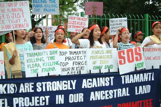 Anti-Tamanthi Dam Protest, New Delhi
