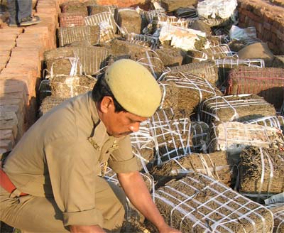 News Pictures about Manipur
