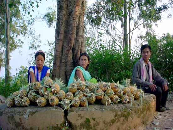 News Pictures about Manipur