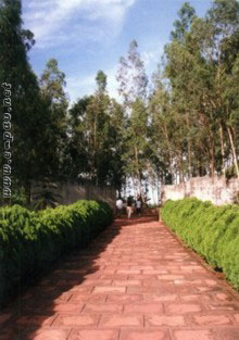 Rajkumar Kishor's Gallery