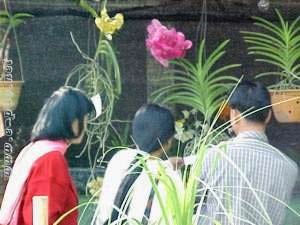 The 7th Flowers exhibition cum sale 12 Nov to 8 Dec 2001 at Imphal